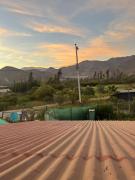 Top Vicuña Top Vicuña