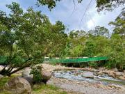 Top Tapah