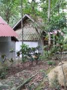 Top Phra Ae beach