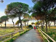 Top Chiclana de la Frontera