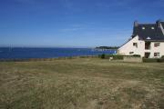 Top Arzon