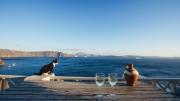 Pano Meria Cave House Two in Oia