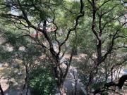 apartment in dowtown