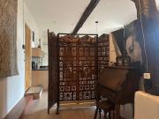 Onder de paardenkastanje