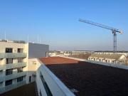 Top Wrocław Top Wrocław