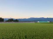 いしづち安藤家