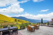 Top Longsheng