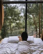 Nhà Gỗ Rừng Thông