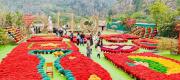 Top Ninh Binh