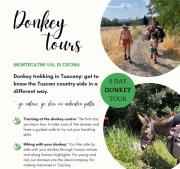 Top Montecatini Val di Cecina