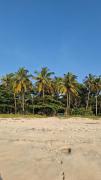 Top Alleppey