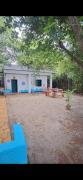 Top Alleppey