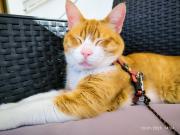 Residencia Quinta do Poço Guesthouse