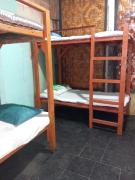 SIARGAO shark bunkbed
