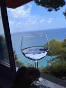 Finestra sul mare, piscina e spiaggia privata Finestra sul mare, piscina e spiaggia privata