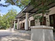 Flying Peacock Yala, Katharagama,