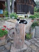 Top Liptovský Trnovec