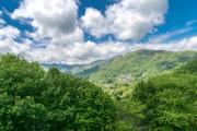 Top Maggie Valley