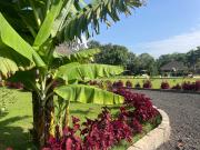 Tanzania Safari Lodge Tanzania Safari Lodge