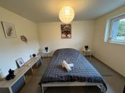 Quiétude au bord du Rhin