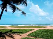Mbeach Nest
