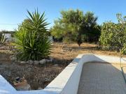 Top Carvoeiro Top Carvoeiro