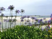 Top Plobannalec-Lesconil