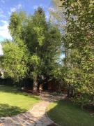 YOGA WOHLFÜHLOASE im Grünen