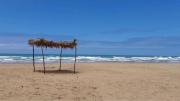 Top Tanger