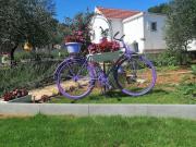 House Marie?s Lavander Dream House Marie?s Lavander Dream