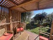 Le nid de loliveraie