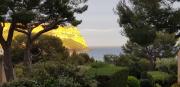 Top Cassis