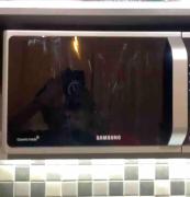 Top Tatu City Top Tatu City