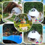 Eco Glamping Treehouses Closest Resort ToTourist Attractions