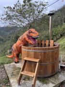 Top Floridablanca Top Floridablanca