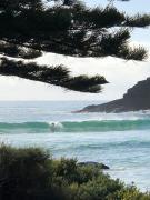 Top Scotts Head