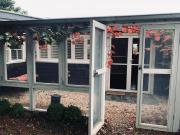 uffington studio pet friendly garden setting