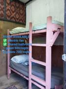 sharkbunkbed siargao