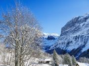 Top Grindelwald