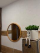 Top Fischbach bei Dahn