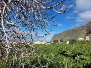 Top Paul do Mar Top Paul do Mar