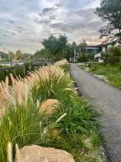 Tiny Loft Style House