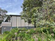 Holiday Across from the Park