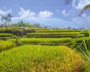 Top Pasirpogor