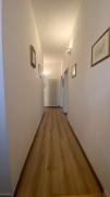 Top Pisa