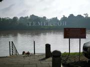 Top Temerloh