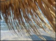 Top Mamaia Nord