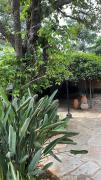 Top Pirenópolis