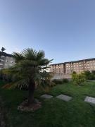 PARQUE AL VOLCAN VILLARRICA