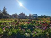 Woodside Farm Country Inn